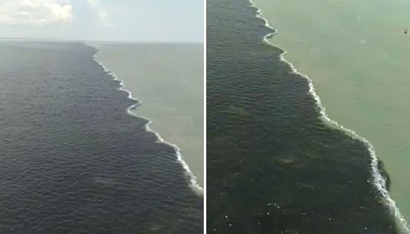 Viral Warganet Sebut Laut di Bawah Jembatan Suramadu Terbelah Jadi Warna Hitam-Putih