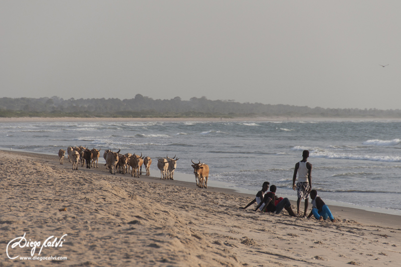 La playa de Sanyang en el sur de Gambia - Gambia, el país de los niños (2)