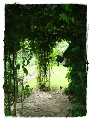 versponnenes: Weißer Schrank, Weiße Rose & weißes Gehäkel...