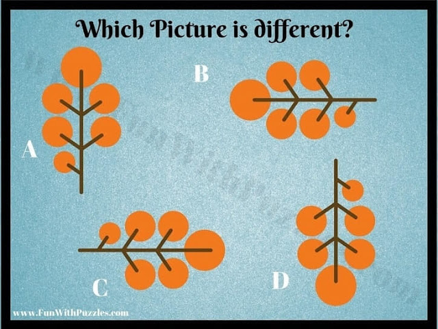 Easy Odd One Out Picture Brain Teaser
