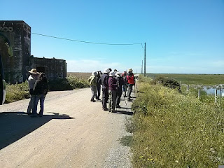 Curso taller Aves del entorno de Doñana 2017. Grupo Local SEO-Sevilla.