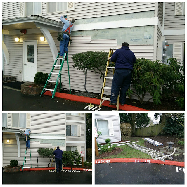 Cedar West HOA Siding Inspection