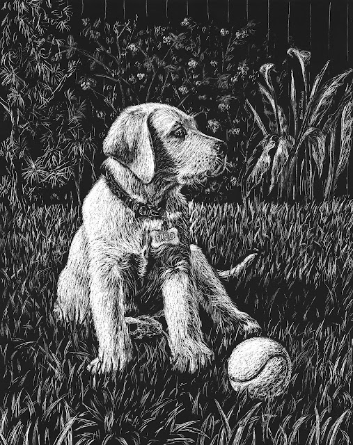 A Thousand Scratches And A Few Figure Drawings Dogs Vs People