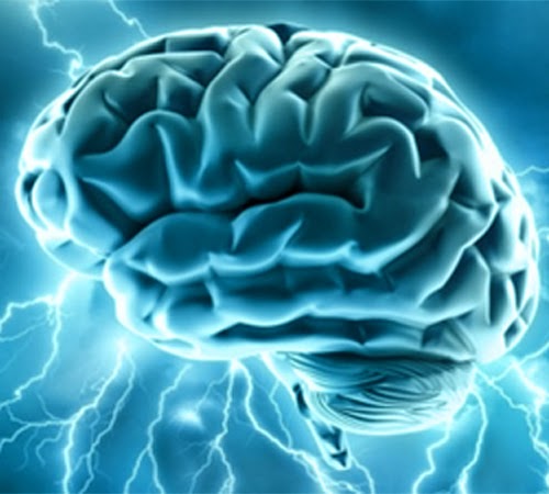 Nutrisi Kunci Untuk Menjaga Kemampuan Otak