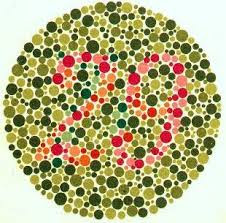29 29