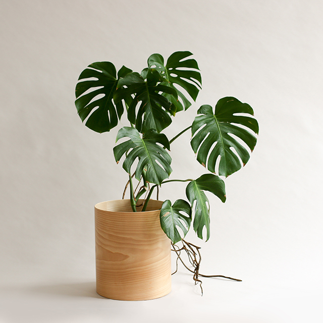 The New Flor Planter by Plyroom