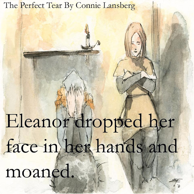 Books Direct "The Perfect Tear" by Connie Lansberg