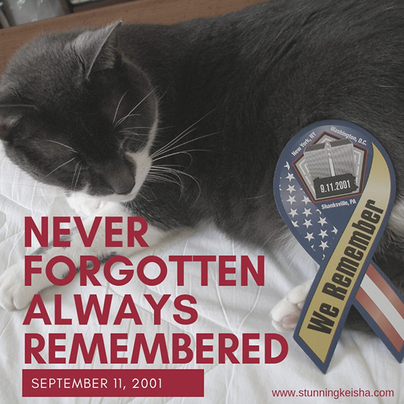 Never Forgotten Always Remembered 9.11.01