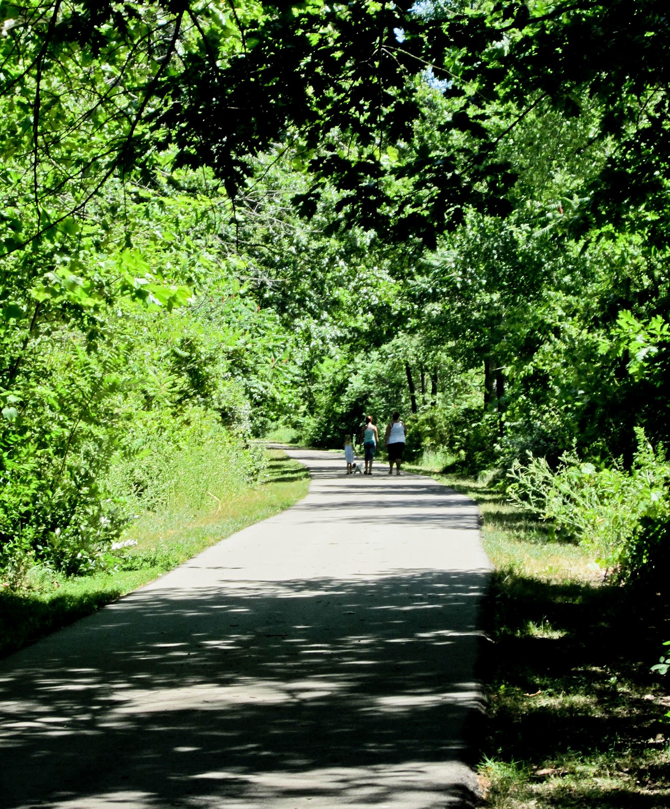 Trail and Park Reviews Baw Beese Walking Trail, Hillsdale Michigan part of the North Country