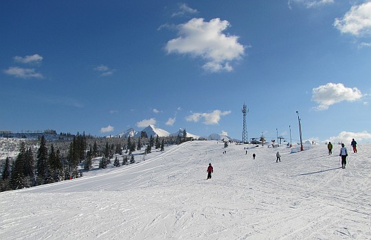 Widok grzbietu Górkowego Wierchu.