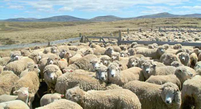 6 Fakta Unik Di Dunia, Sayang Sekali jika Kamu Tidak Mengetahuinya 6 Fakta Unik Di Dunia, Sayang Sekali jika Kamu Tidak Mengetahuinya