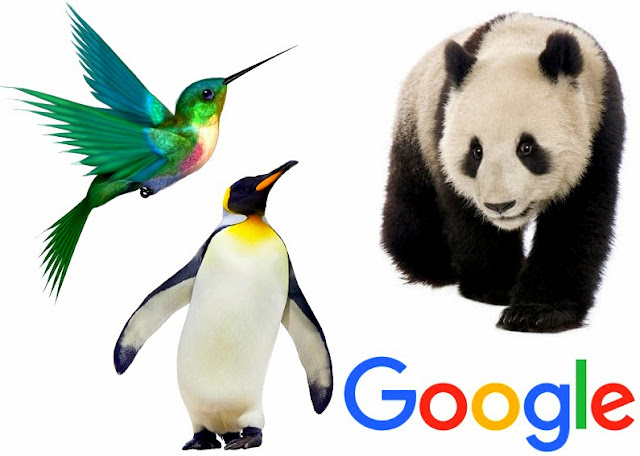 Google Panda, Penguin dan Hummingbird