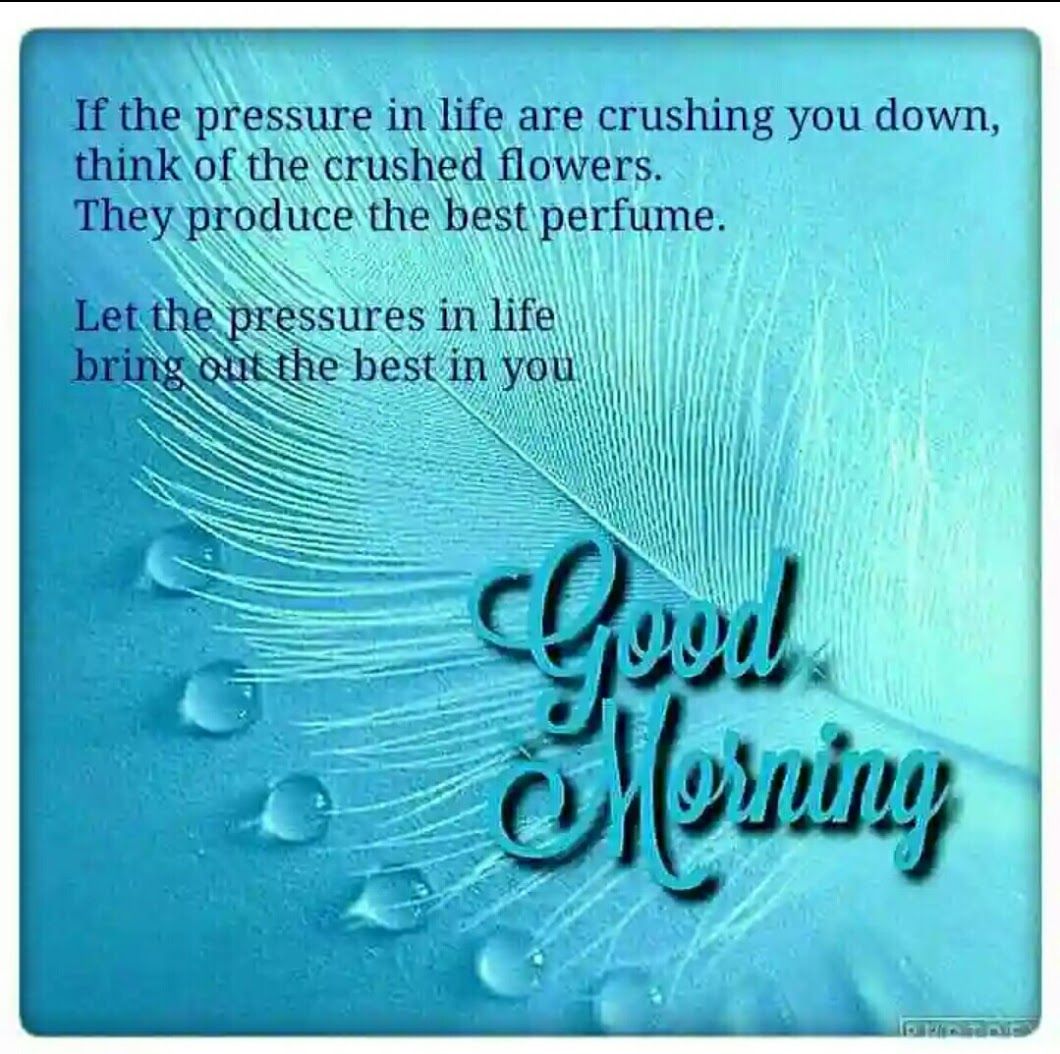 good night cute images