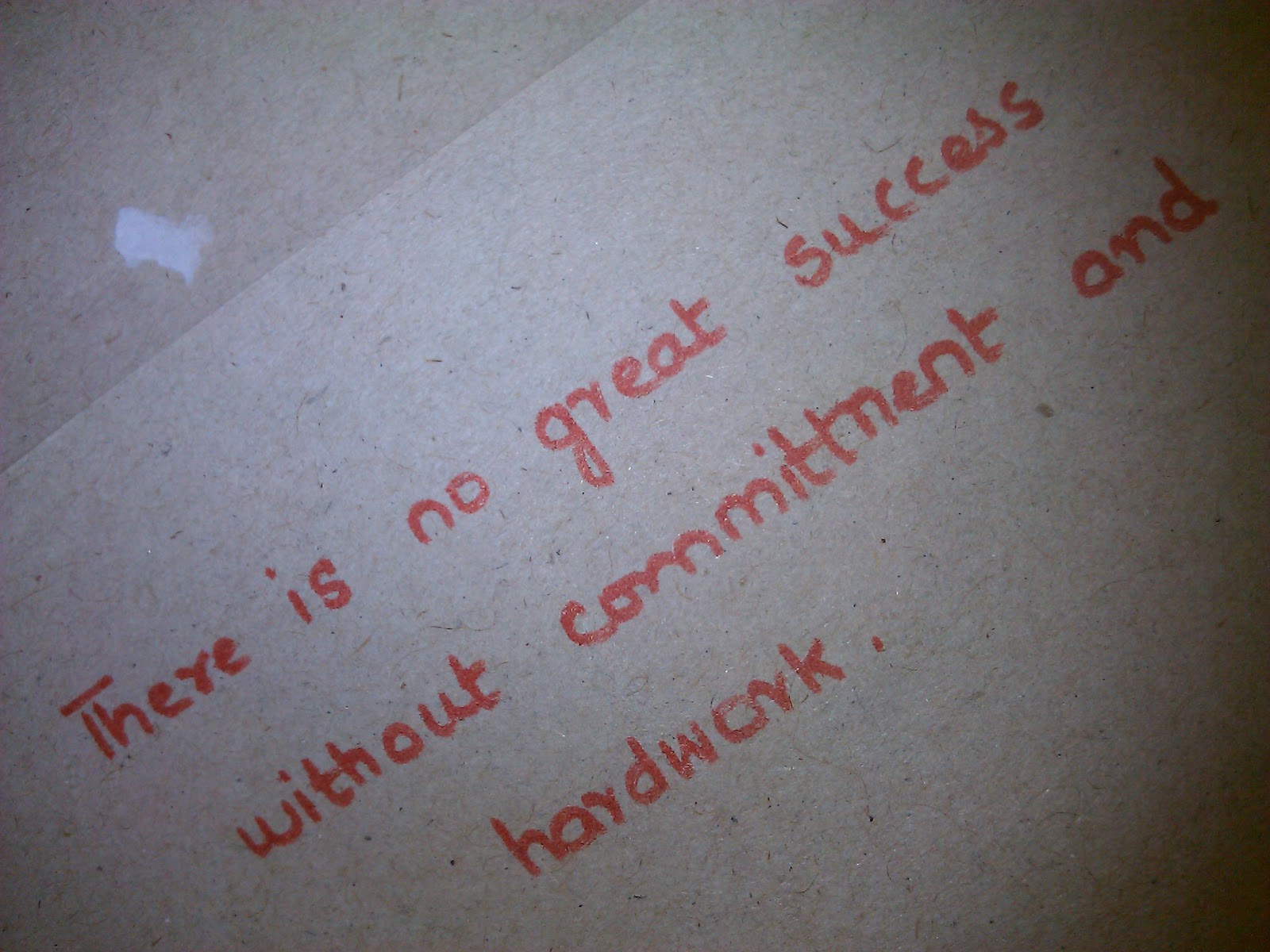 Essay on doctor 250 words image