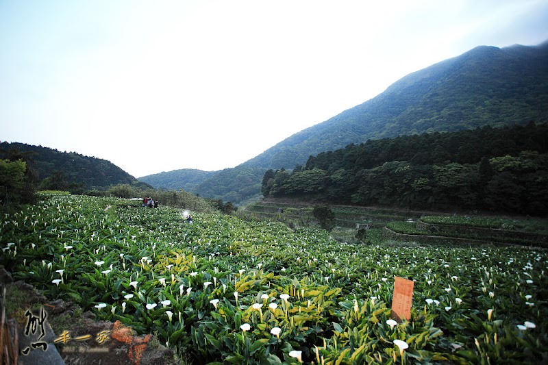 陽明山竹子湖日式茶點燒烤美食|甘味坊芭樂嫂日式茶屋