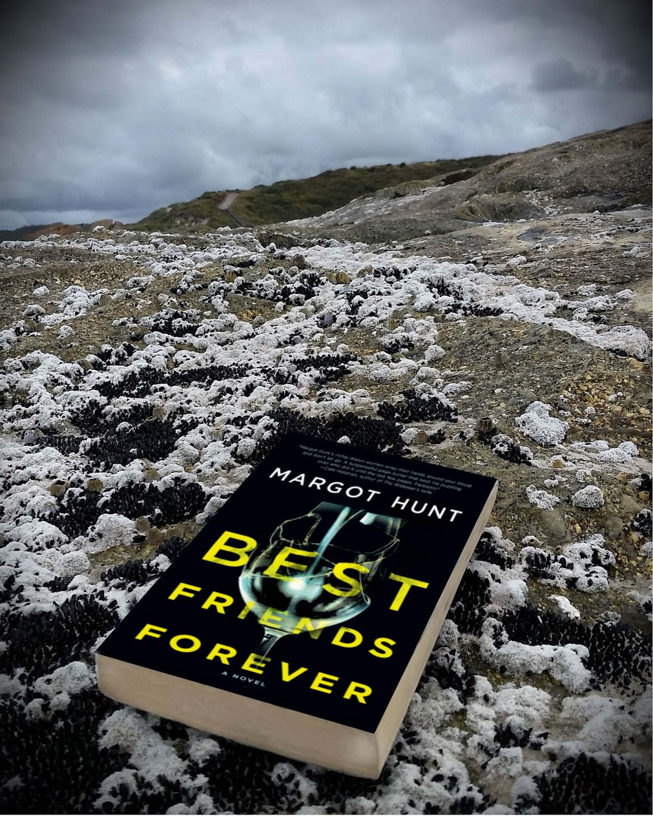 but books are better Book Review BEST FRIENDS FOREVER by Margot Hunt