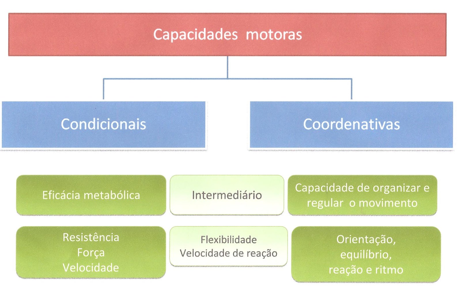 Capacidades motoras habilidades Capacidades Motoras Exemplos De Sua Utilização No Dia A Dia