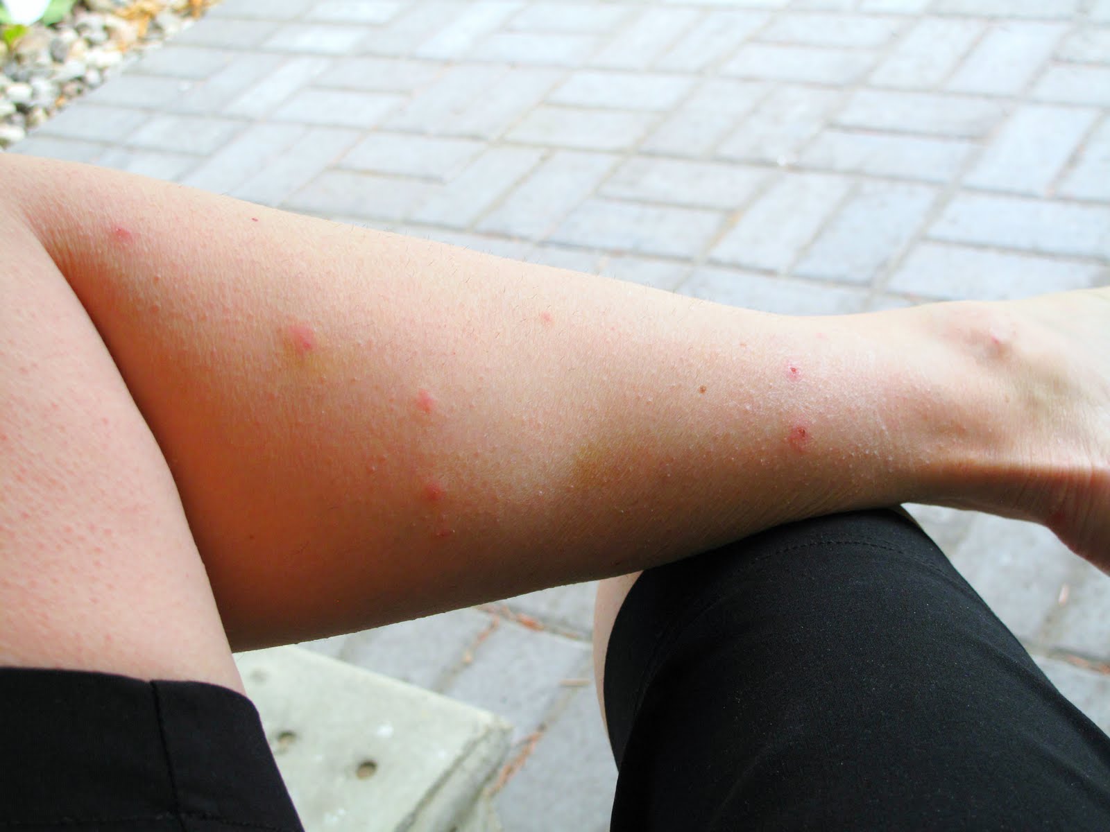 wynn-anne-s-meanderings-dinner-at-the-river-s-edge