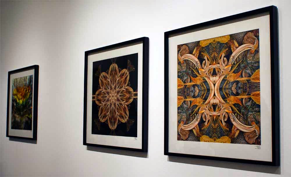 Juan San Juan, Marchitación en el