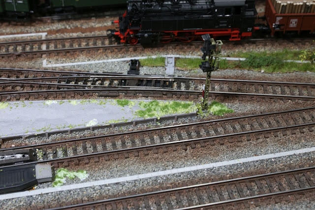 草を植える方法 - 段階的に草を植える方法
