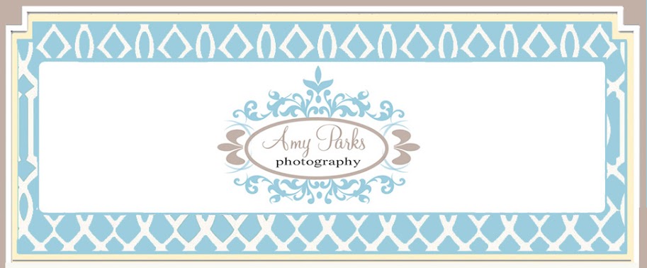 Amy Parks Photography