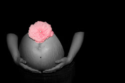 Maternity Photography Package $299+tax