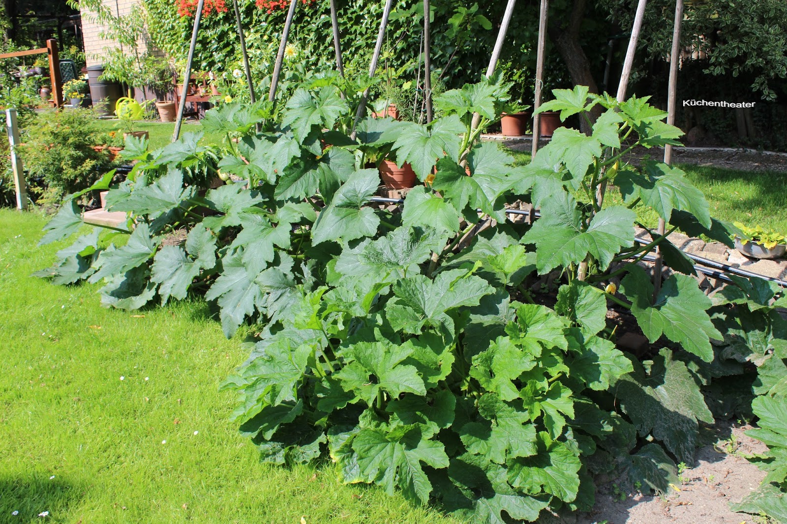 Küchentheater: Würziges Zucchini-Brot