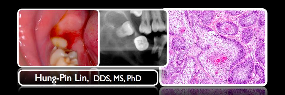 Hung-Pin Lin DDS, MS, PhD