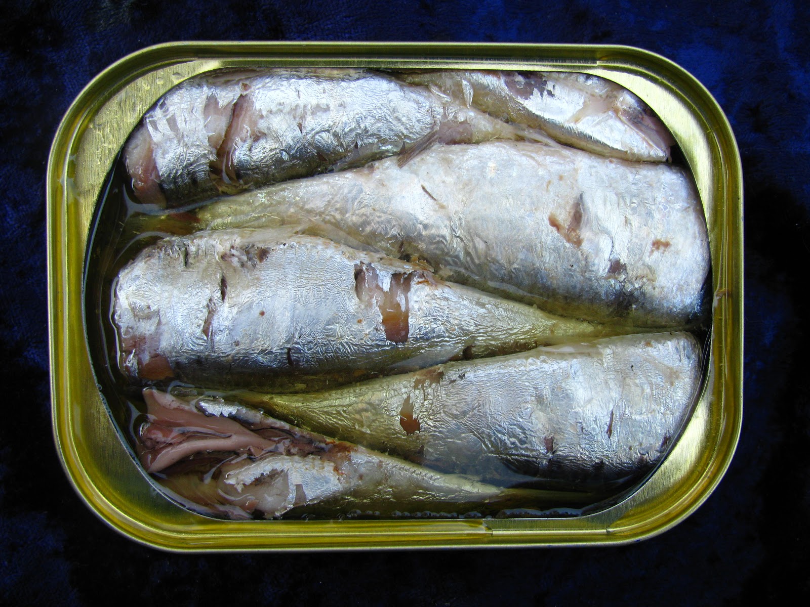 Mouth Full of Sardines DELAMARIS 86