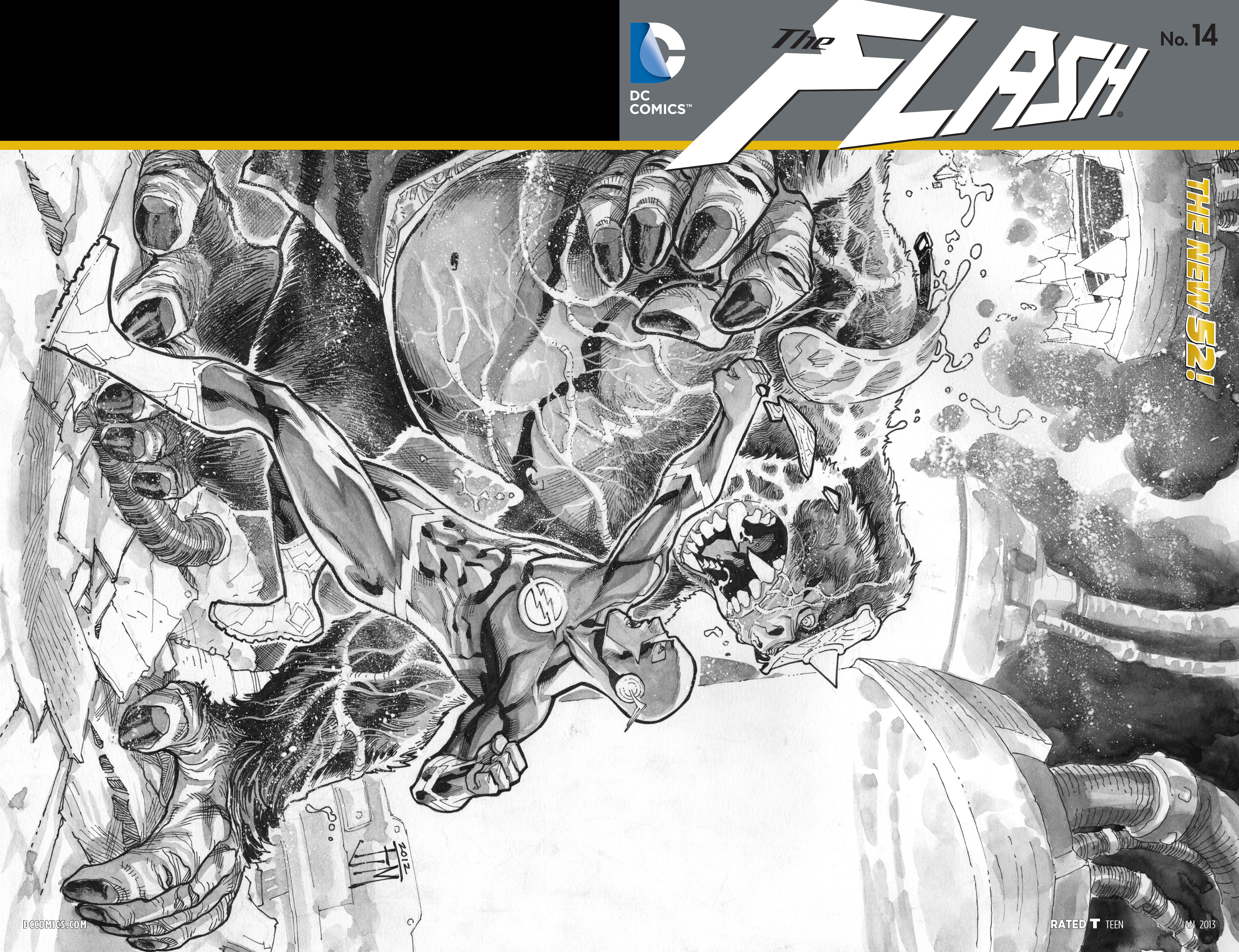 Read online The Flash (2011) comic -  Issue #14 - 19