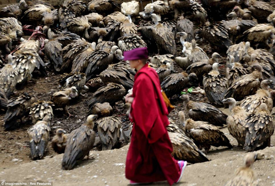 TheNextPicture Tibetan Sky Burial thenextpicture-tibetan-sky-burial