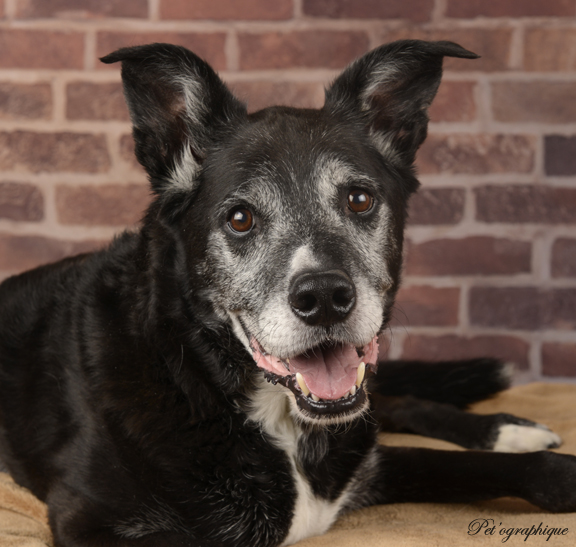 Exceptional update to share on Nike's adoption!