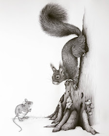 01-Squirrel-and-Mouse-Kerry-Jane-Detailed-Black-and-White-Wildlife-Drawings-www-designstack-co