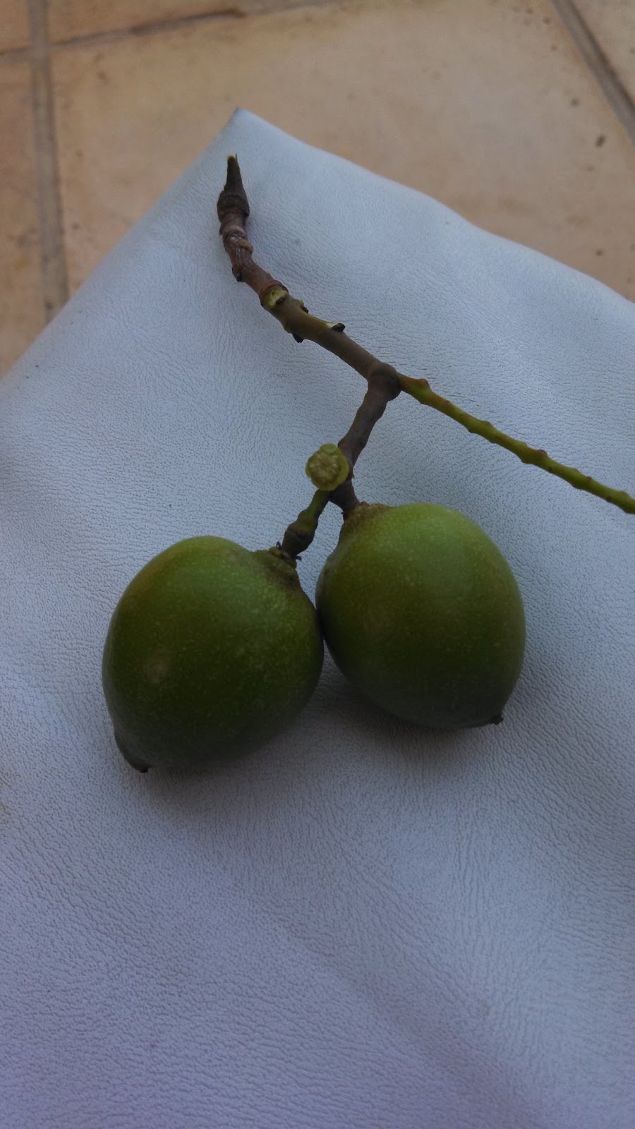 Stream of Consciousness: Haiti 2013 - Day 7