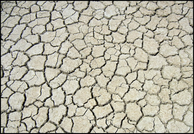 Cracked riverbed on Rio Grande in Big Bend National Park in Texas