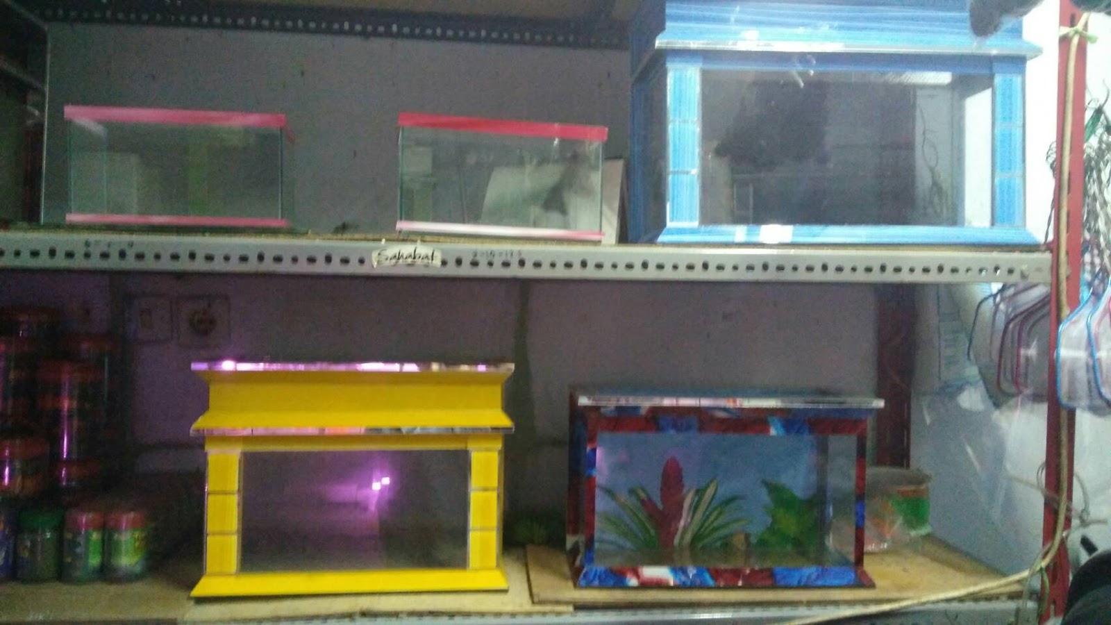 Anak Ikan Jual Aquarium Ikan Hias