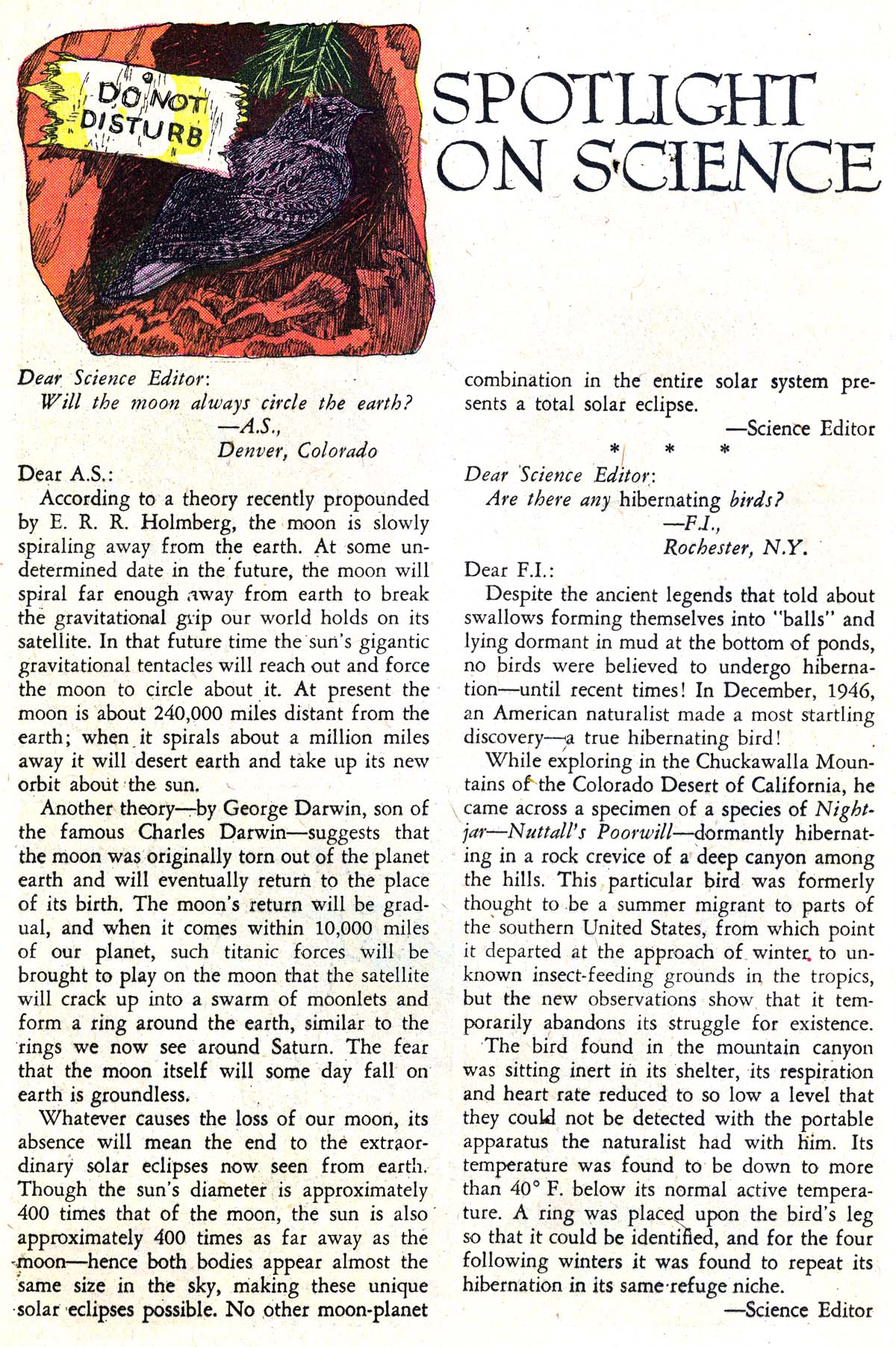 Read online Strange Adventures (1950) comic -  Issue #98 - 24