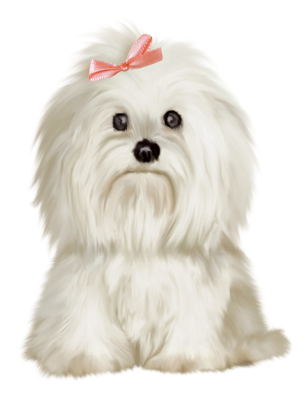 free clipart maltese dog - photo #9