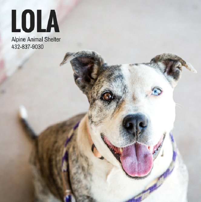 Windows 7 Para Descargar Gratis Windows 7 Para Descargar Gratis