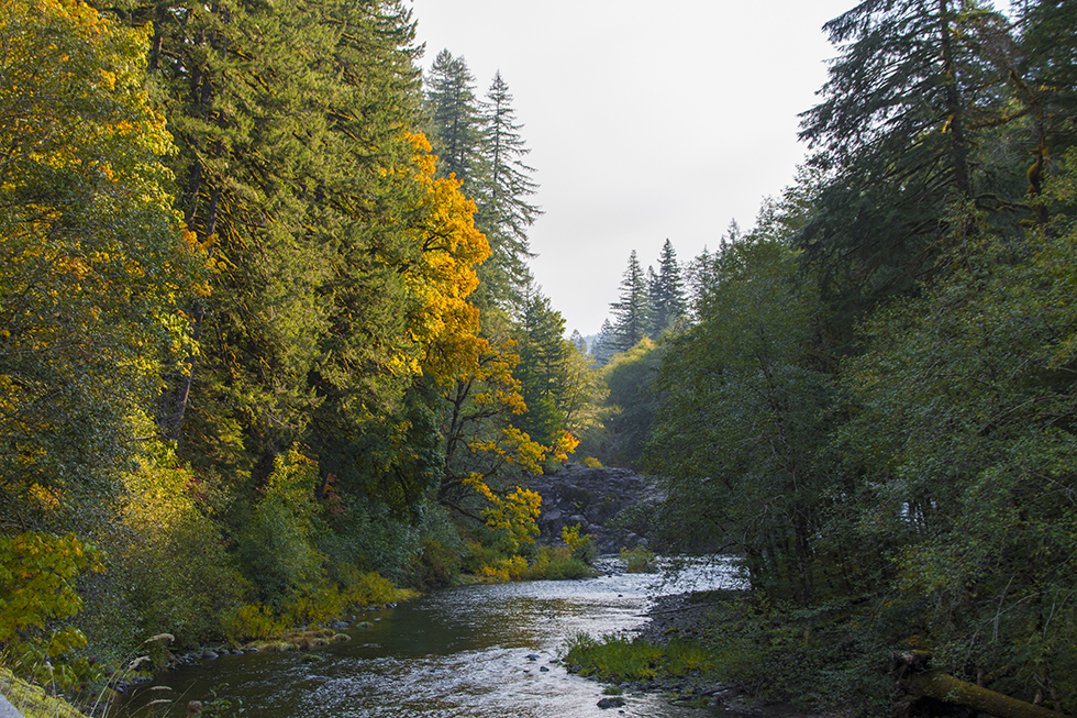 Photographing Oregon Santiam River North Branch
