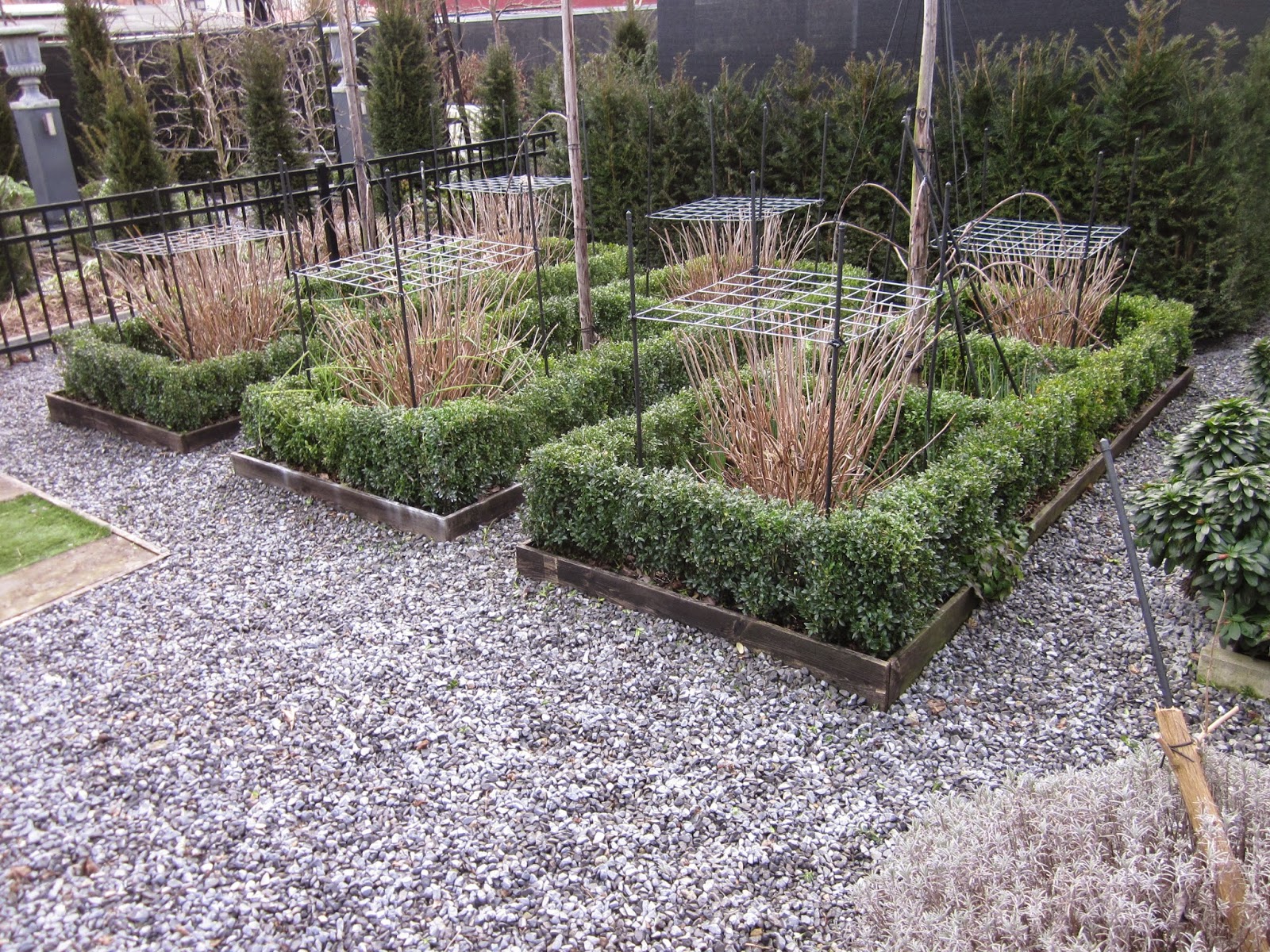 Potagerie in Maastricht 4,03,2015 > Pruning and shaping