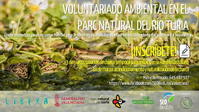 https://2.bp.blogspot.com/-u10pnKZ5gRE/XG_TF1vrVJI/AAAAAAAAIGU/bTQ12IGNDW4gWUUAzH5vWLccMJlsgyLBQCLcBGAs/s640/Voluntariat%2Bvoluntariado%2Bambiental%2BParc%2BNatural%2Briu%2BT%25C3%25BAria%2Br%25C3%25ADo%2BTuria%2Bcharca%2Banfibios%2Brestauraci%25C3%25B3n%2Bcreaci%25C3%25B3n%2Bcharcas%2Bh%25C3%25A1bitats%2Bambientes%2Bamfibis%2Brestauraci%25C3%25B3%2Btolls%2Bxarcos.jpg