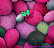ZedGe Wallpapers (butterfly and stones)
