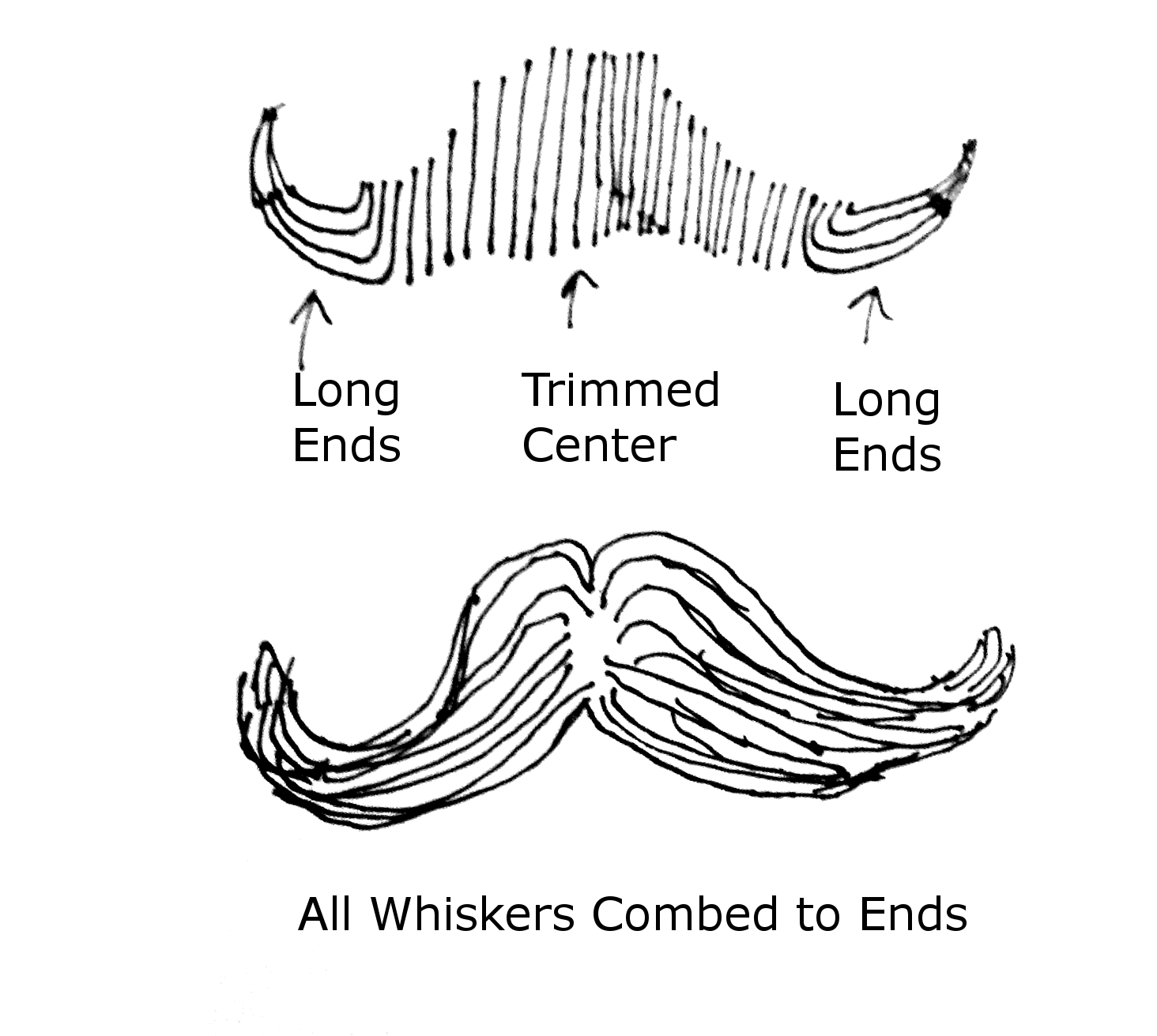 My Quest for the Epic Handlebar Mustache May 2013