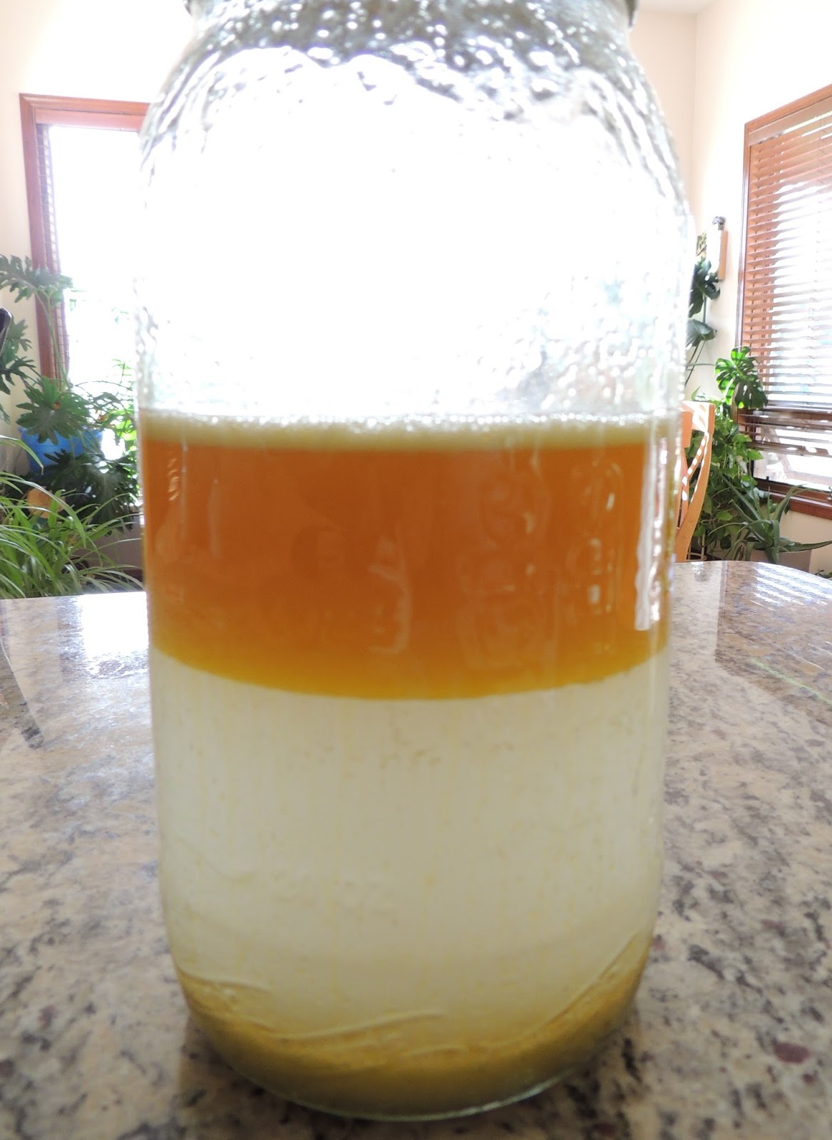 Chasing the Desert Sky Hand Refined Linseed Oil from Flax oil