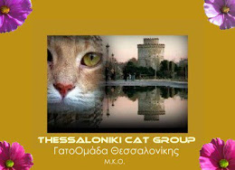 Thessaloniki Catgroup N.G.O