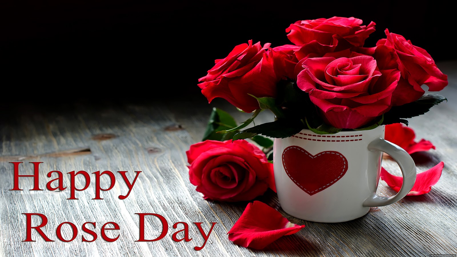 Happy Rose Day Wallpapers HD Download Free 1080p Colorfullhdwallpapers