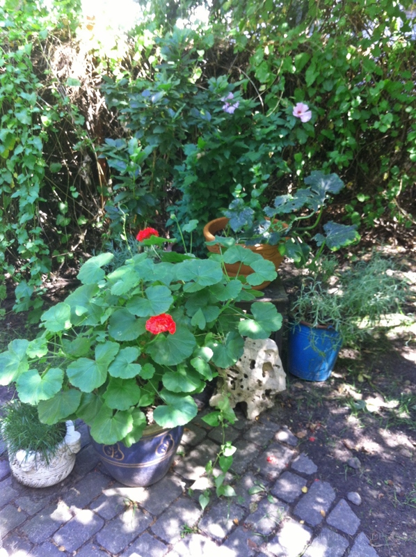 Der fast geheime Garten