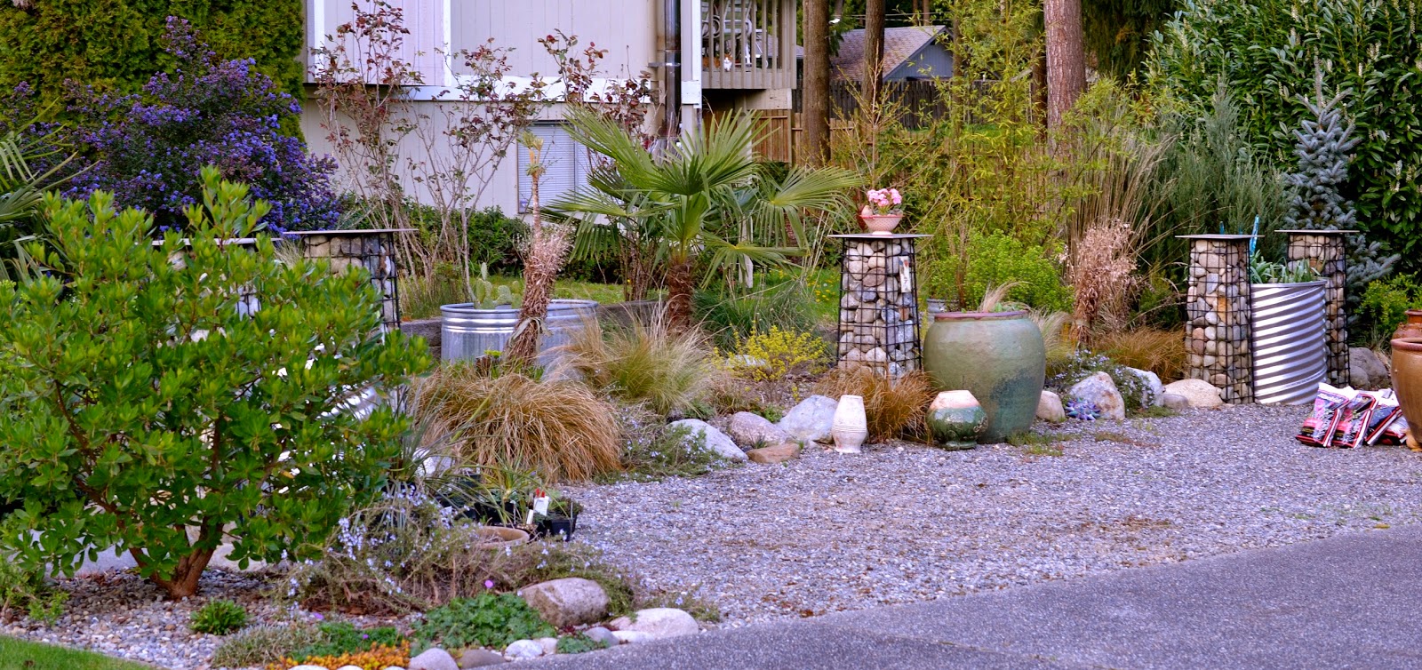 Bonney Lassie: End of the Month View, March, 2015 -- The Gravel Garden