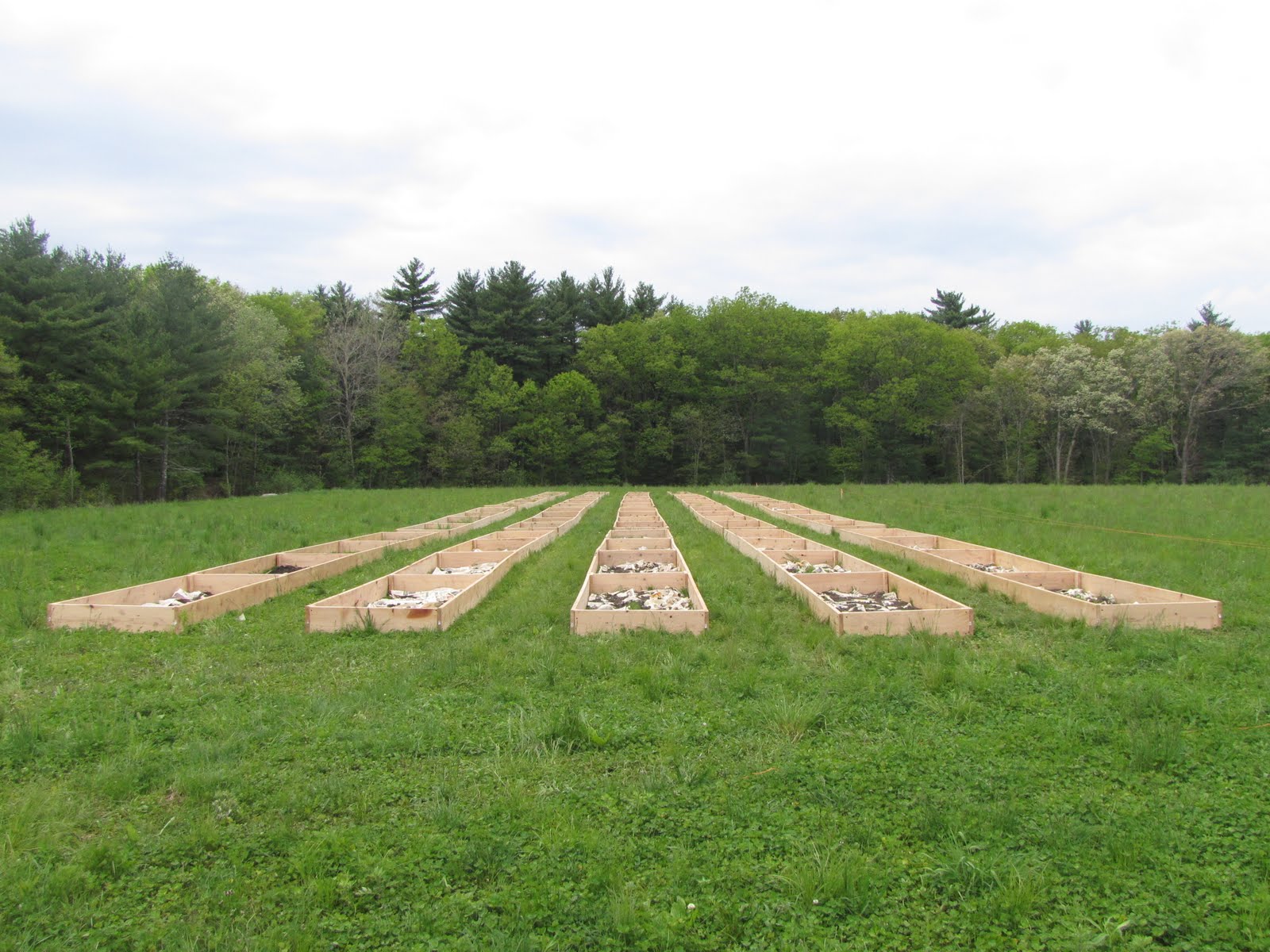 Circling the Smiling Pond Ridge Hill Reservation and Needham Community